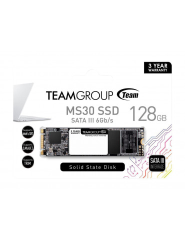 SSD диск Team Group 128GB MS30, TM8PS7128G0C101