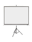 Екран Acer T87-S01MW 87" (4:3) Tripod Screen White - MC.JBG11.00F