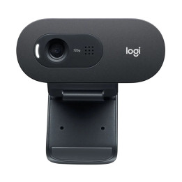 Уеб камера с микрофон Logitech C505 HD - 960-001364