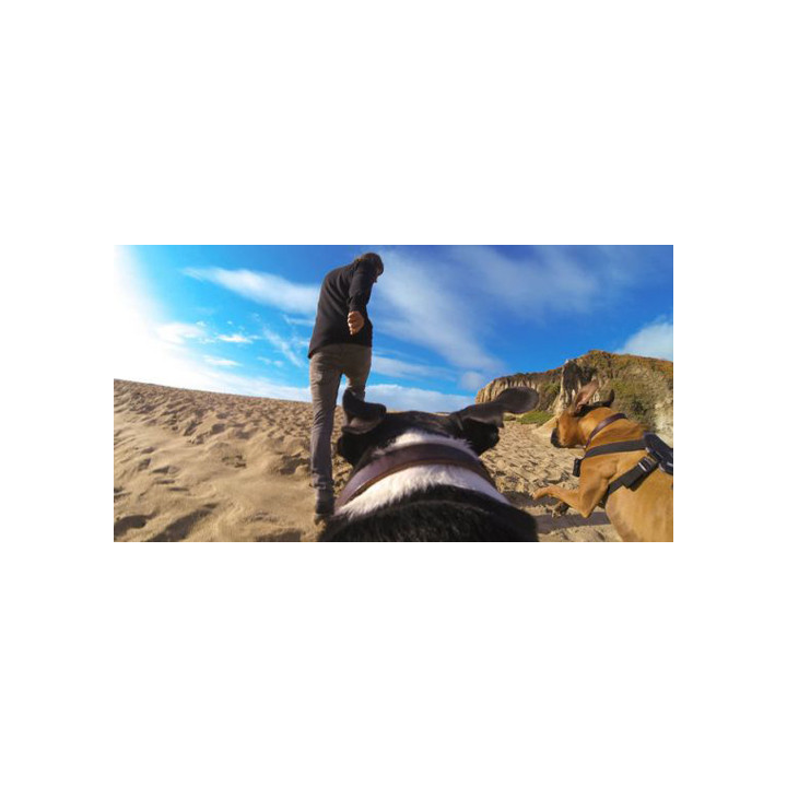 GoPro нагръден колан за кучета FETCH (Dog Harness) ADOGM-001