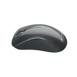 Безжична мишка Canyon CNE-CMSW11B