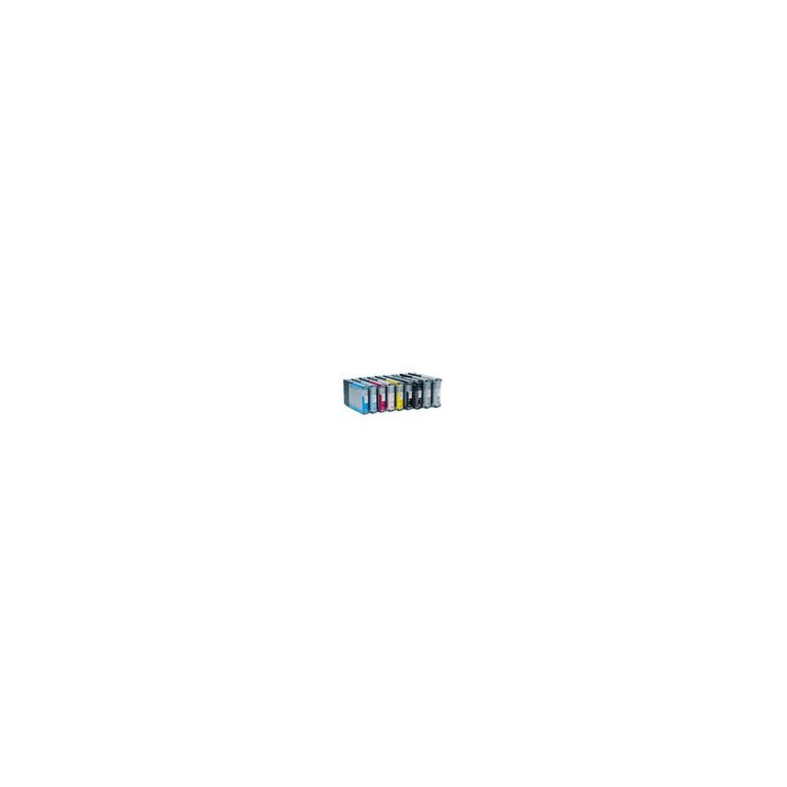 Ink cartrige EPSON Photo Black Stylus Pro 7700/7900 / 9700 / 9900, 350 ml.