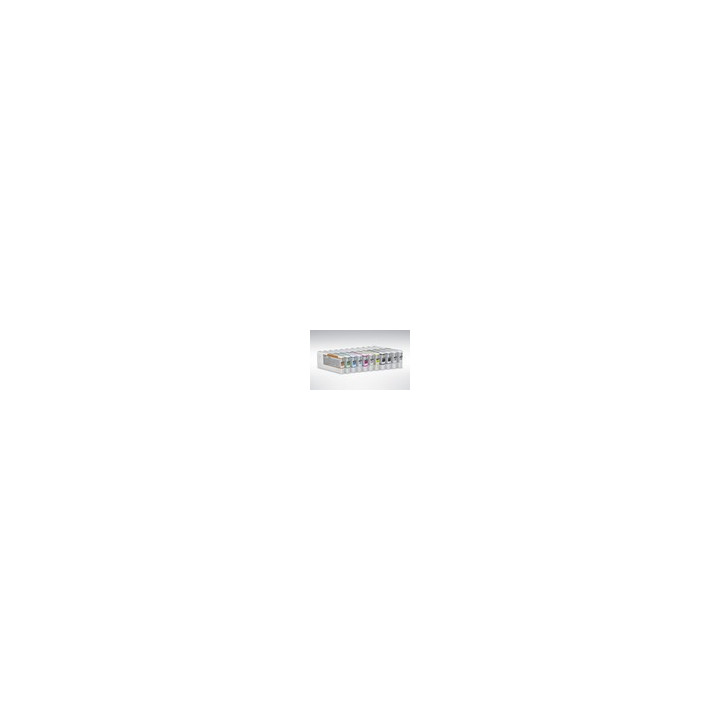 Ink Cartridge EPSON Light Black (200ml) for Stylus Pro 4900