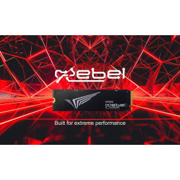 SSD диск Dynac 1TB Rebel Series PCIe Gen4 x4, M.2 2280, w/r 7000 / 6000MB/s - DREBEL1TB/R