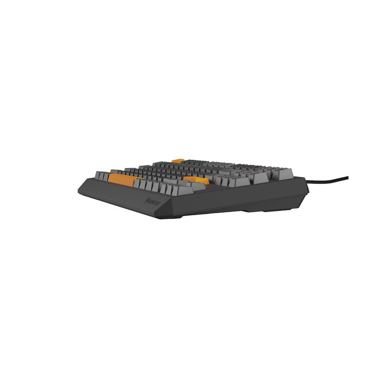 Механична геймърска клавиатура Genesis Thor 230 TKL Anchor Gray Positive US RGB Mechanical Outemu Red - NKG-2081