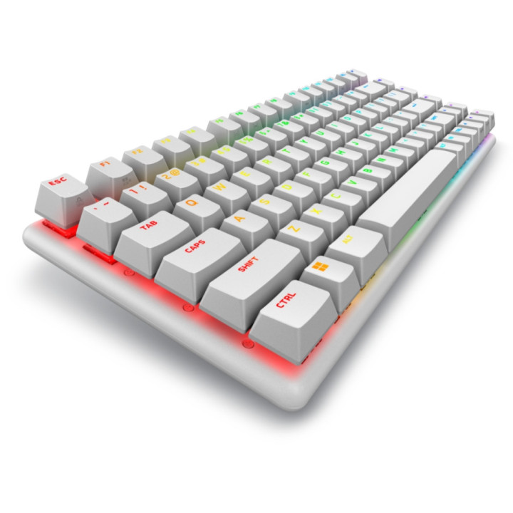 Безжична механична геймърска клавиатура Dell Alienware Pro, US (QWERTY), Lunar Light - 545-BBFR