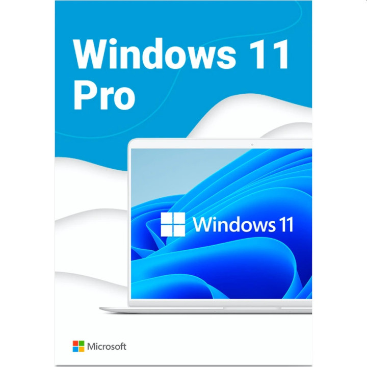 Операционнa системa Microsoft Windows Pro 11 64-bit English Intl USB RS - HAV-00163