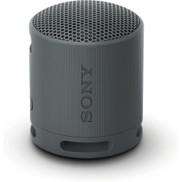 Bluetooth колонка Sony SRS-XB100 Portable Bluetooth Speaker, black - SRSXB100B.CE7