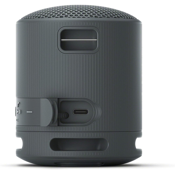 Bluetooth колонка Sony SRS-XB100 Portable Bluetooth Speaker, black - SRSXB100B.CE7