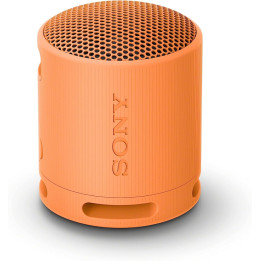 Bluetooth колонка Sony SRS-XB100 Portable Bluetooth Speaker, orange - SRSXB100D.CE7