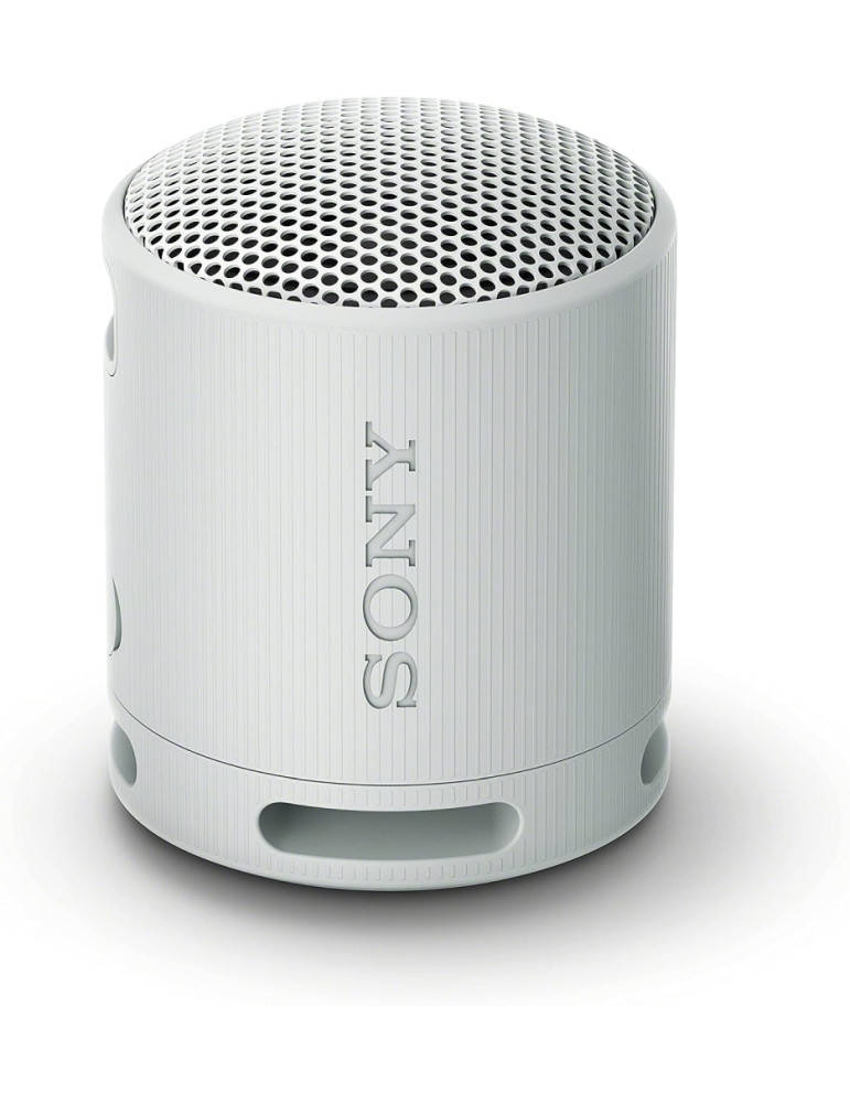 Bluetooth колонка Sony SRS-XB100 Portable Bluetooth Speaker, Light Grey - SRSXB100H.CE7