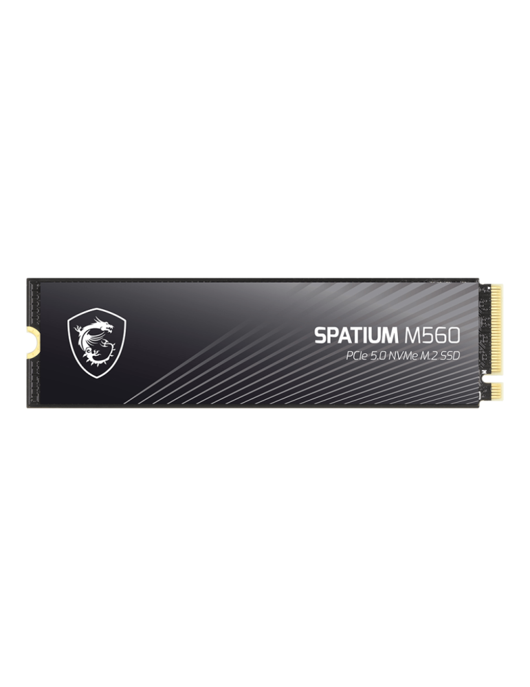 SSD диск MSI 1TB SPATIUM M560 PCIe 5.0, 10200MB/8400MBMB/s - S78-440L0F0-P83