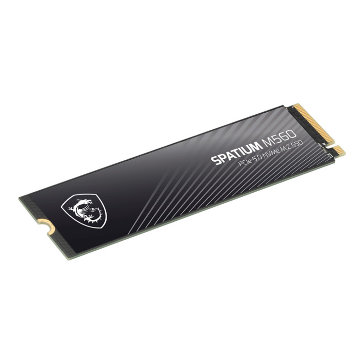 SSD диск MSI 1TB SPATIUM M560 PCIe 5.0, 10200MB/8400MBMB/s - S78-440L0F0-P83