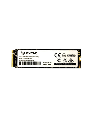 SSD диск DYNAC 256GB G310 M2 GEN3x4, 2100/1000MB/s -DG310256GB/R