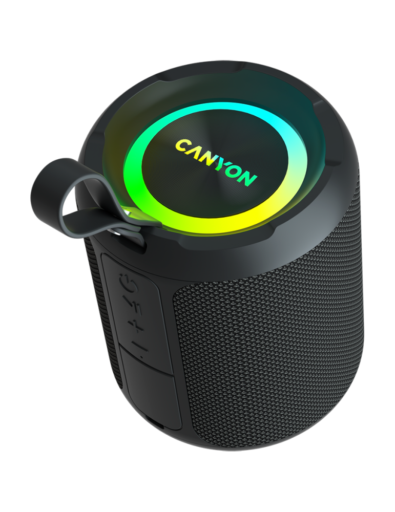 Bluetooth колонка Canyon OnMove 11 IPX6 TWS 20W EQ RGB Black - CNE-CBTSP11