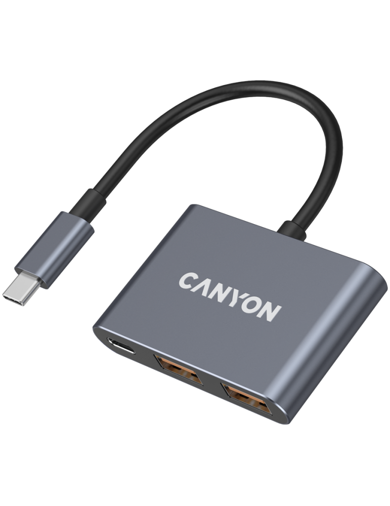 Хъб Canyon DS-3 3in1 USB-C Dark Grey - CNS-TDS3