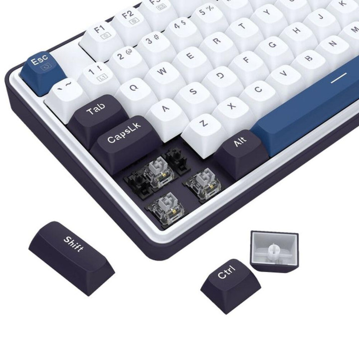 Механична геймърска клавиатура Redragon Wyvern K689WBB, RGB подсветка, USB Type-C - 4