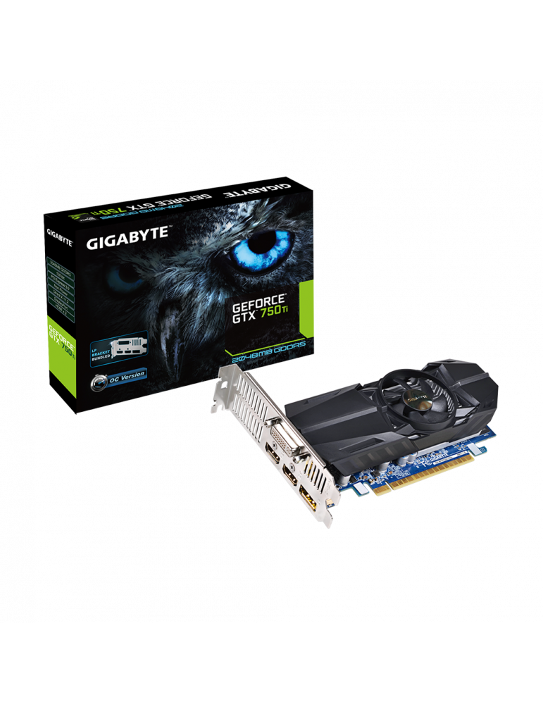 Gigabyte Gtx 750ti 2gb 750 Ti Gigabyte 750 Ti Low Profile