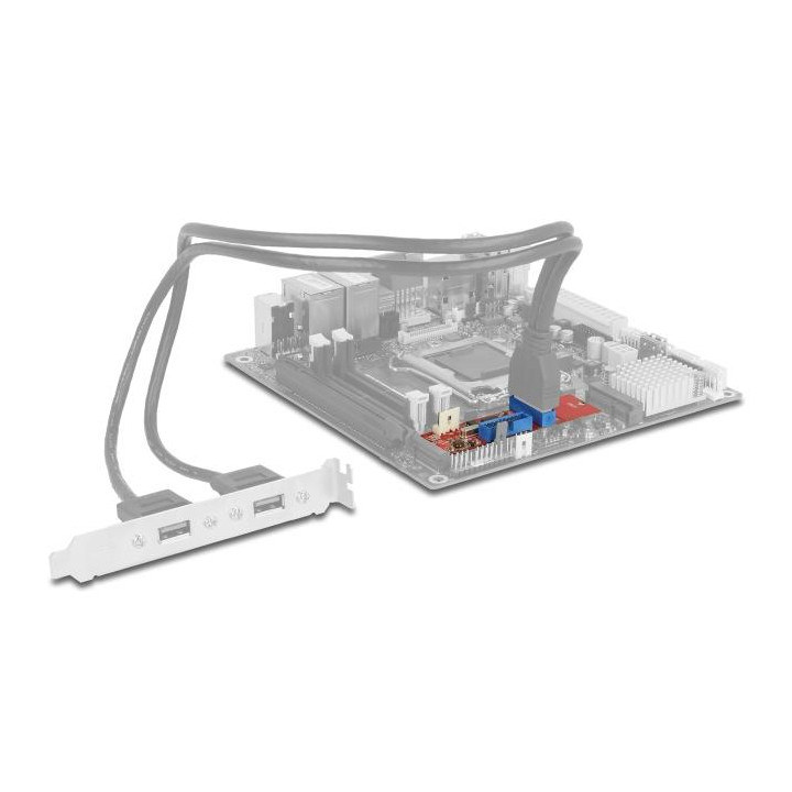 Адаптер DeLock, M.2 Key B+M към 2x USB 5 Gbps - 62843 - 4