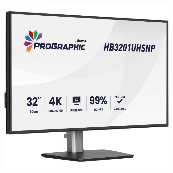 Монитор IIYAMA HB3201UHSNP-B1, 31.5" 4K UHD IPS, Pantone Validated - 3