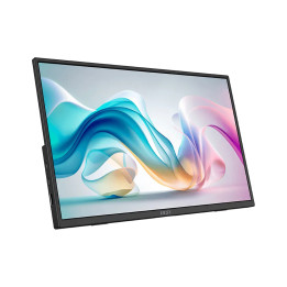 Преносим монитор MSI PRO MP165 E6, 15.6" Full HD IPS - 9S6-3PE50M-001 - 1