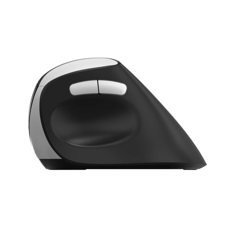 Безжична ергономична мишка RAPOO EV250, 2.4Ghz, 1600dpi, Черен - RAPOO-13531