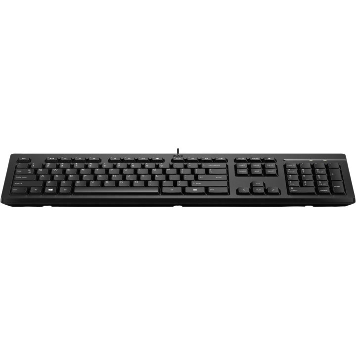 Клавиатура HP 125 Wired Keyboard - AY2Y7AA - 2