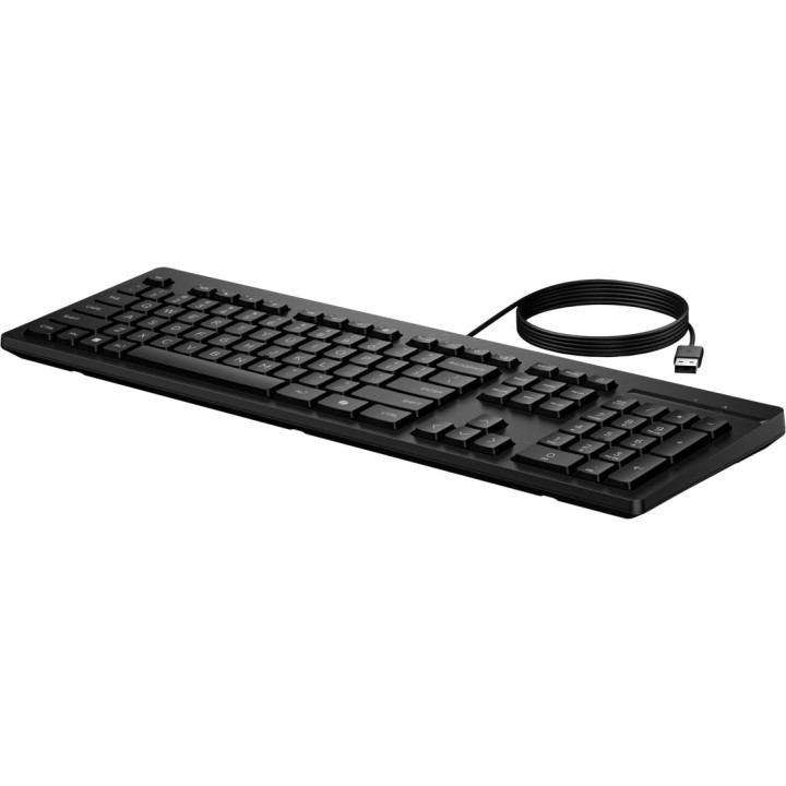 Клавиатура HP 125 Wired Keyboard - AY2Y7AA - 4