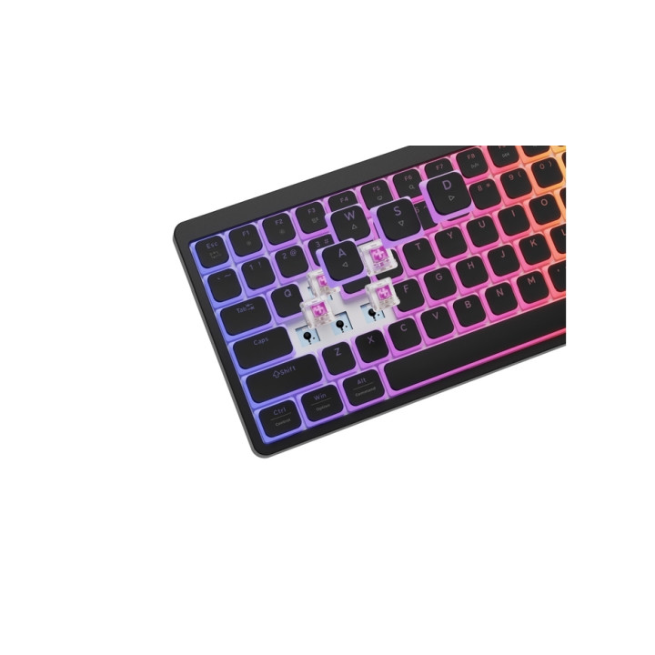 Механична геймърска клавиатура Genesis Thor 430 TKL, RGB Outemu Pink Silent, Hot Swap, US Layout, Black - NKG-2345 - 3