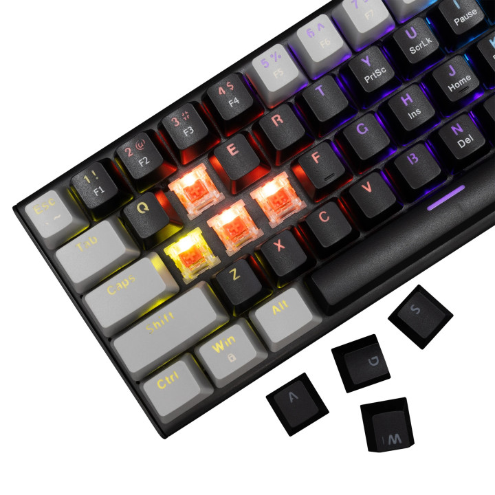 Геймърска механична клавиатура White Shark WAKIZASHI 2, 60%, Red Switches, RGB подсветка, USB Type-C - WAKIZASHI-2-US-B-G-RED.SW