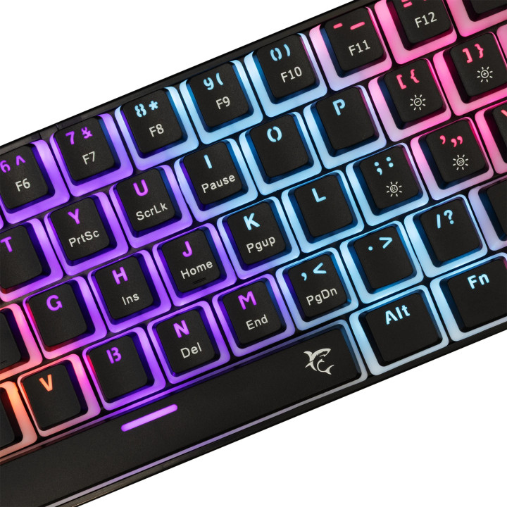 Механична геймърска клавиатура White Shark SHINOBI 2, 60%, Red Switches, RGB подсветка, USB - ASHIKO-2-B-US-RED.SW - 3