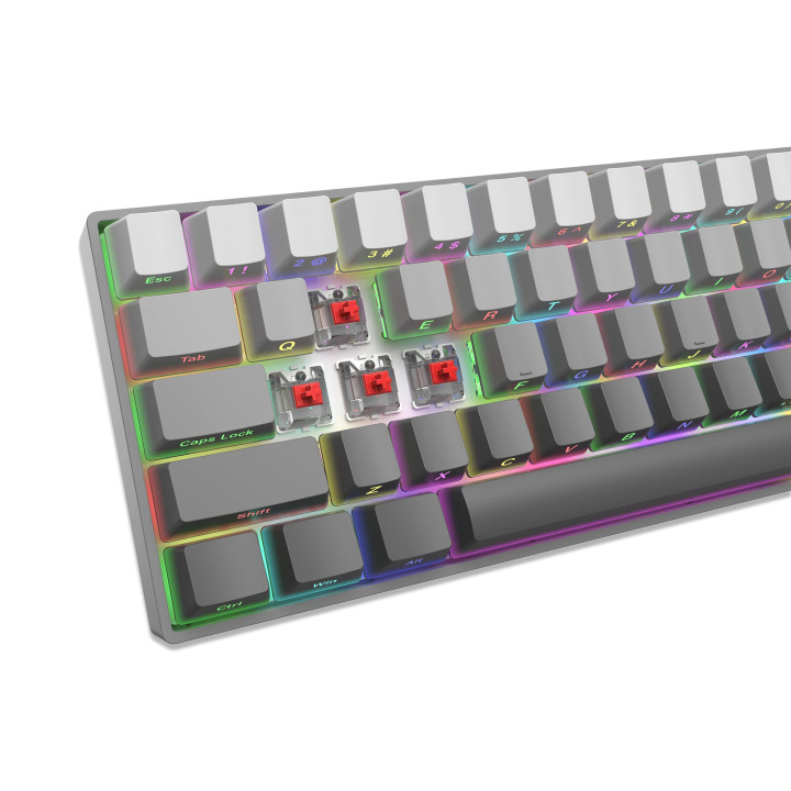 Геймърска механична клавиатура White Shark Nunchaku, 60%, Red Switches, RGB подсветка, Hot-swap, 68 клавиша - NUNCHAKU-G-US-RED.