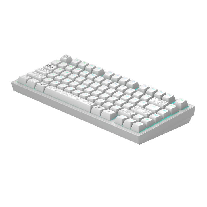 Безжична геймърска механична клавиатура Dark Project ALU81A Terra Nova R2, White RGB, G3MS Moonstone суичове - DPKB_NOVA_81_ANSI