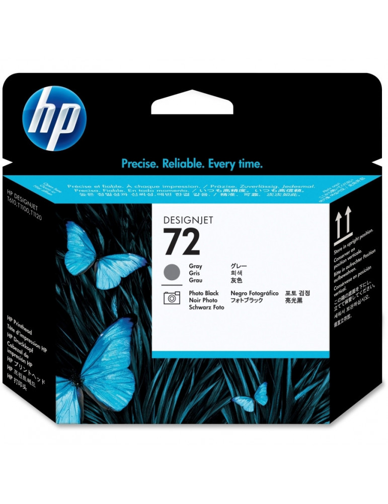 HP 72 Gray and Photo Black Printhead