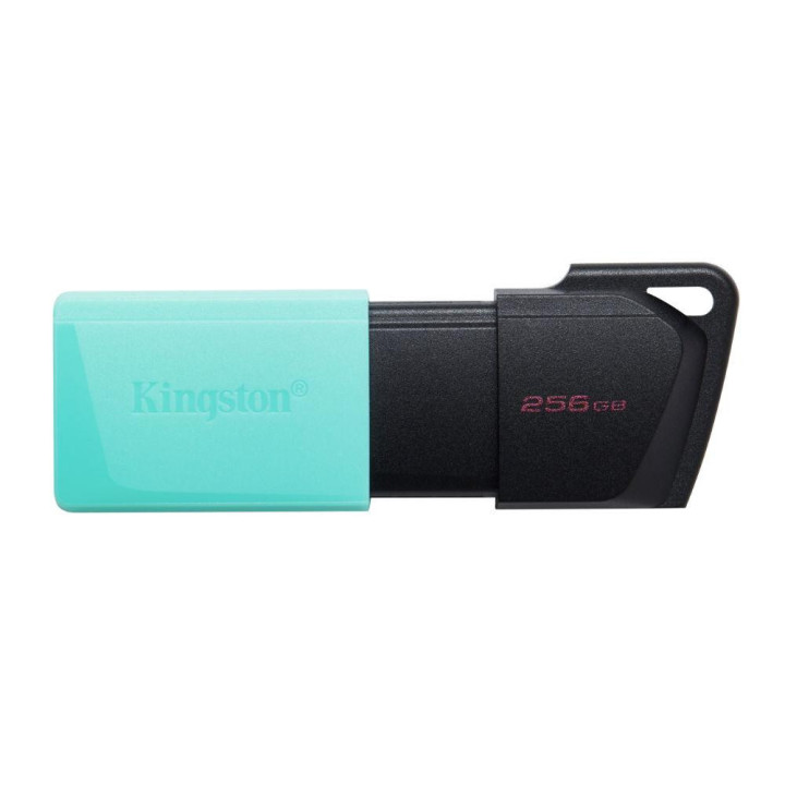 Флаш памет Kingston 256GB DataTraveler Exodia M, USB 3.2 Gen 1, черен - DTXM/256GB