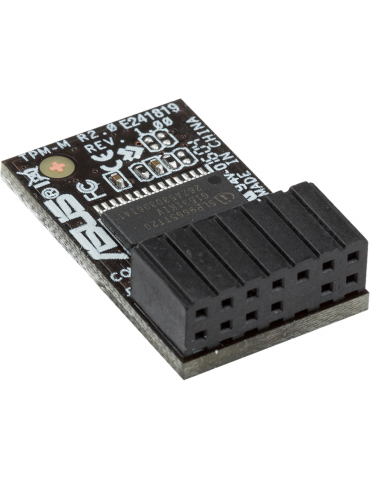 Защитен модул Asus TPM-M R2.0