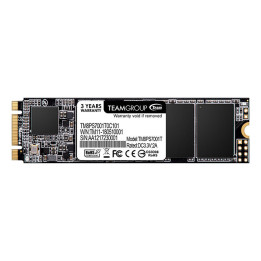 SSD диск Team Group MS30 256GB, TM8PS7256G0C101