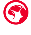 Marvo