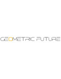 Geometric Future