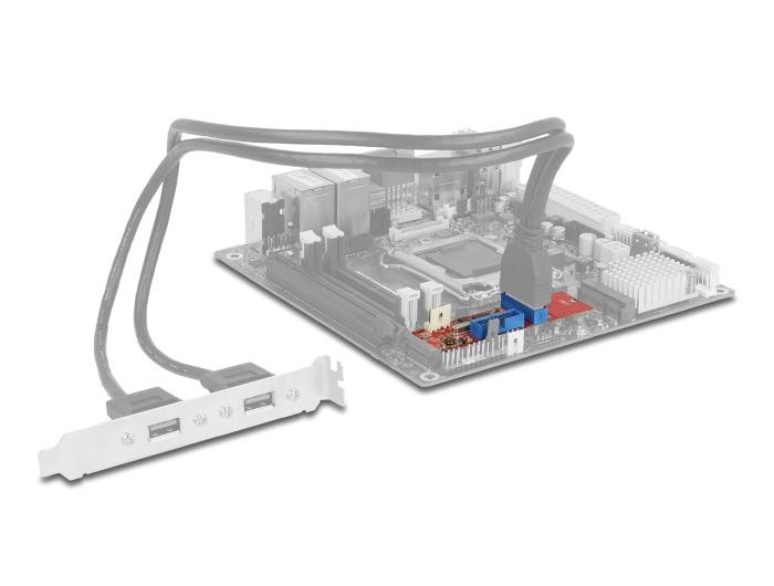 Адаптер DeLock, M.2 Key B+M към 2x USB 5 Gbps - 62843 - 4