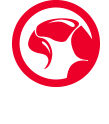 Marvo