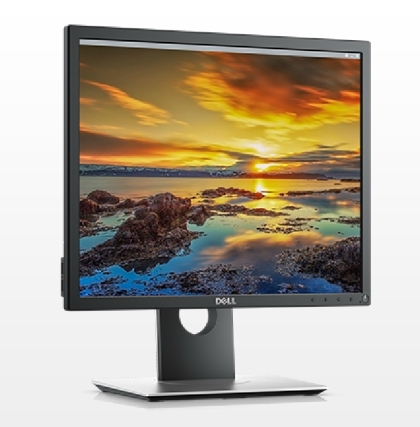 Dell P1917S, 19