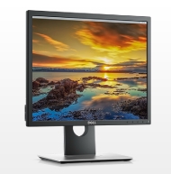 Dell P1917S, 19