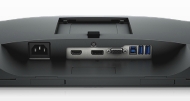 Dell P1917S, 19