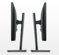 Dell P1917S, 19